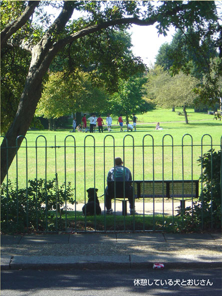 休憩している犬とおじさん