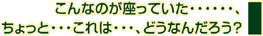 こんなのが座っていた・・・、ちょっと・・・これは・・・、どうなんだろう？